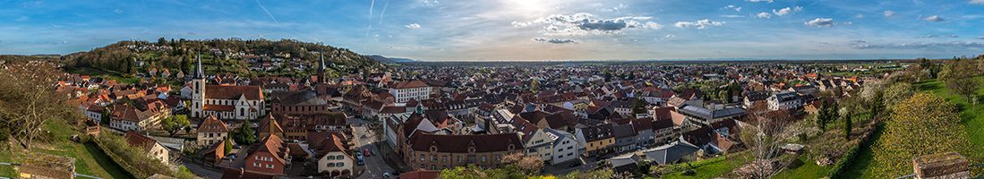 Bürger- und Heimatverein Weingarten